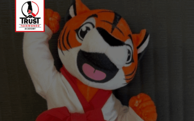 Kampfsport für Kinder – Warum Taekwondo Ideal ist